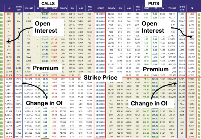 Option Chain 